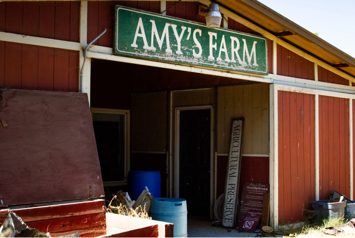 Despite fate of longtime Ontario location, Amy’s Farm continues to look for new place to call home